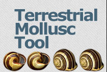 Terrestrial mollusc tool